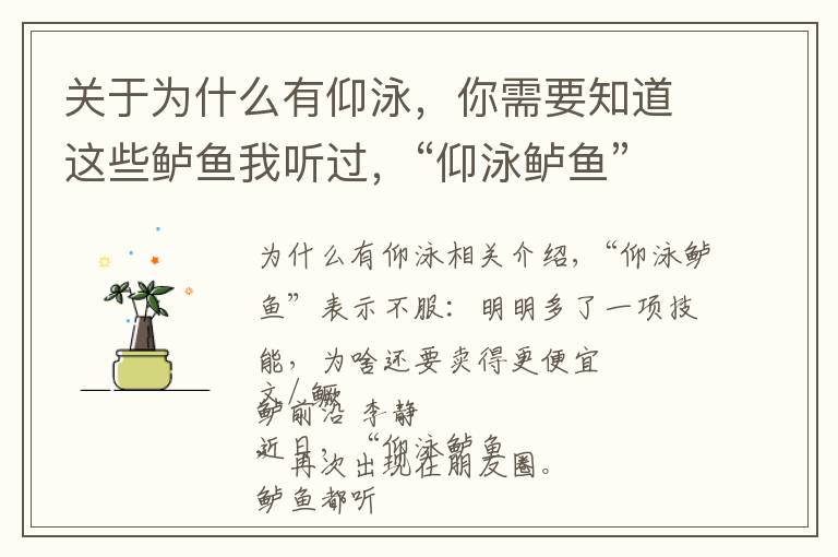 关于为什么有仰泳，你需要知道这些鲈鱼我听过，“仰泳鲈鱼”是什么鬼？