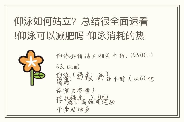 仰泳如何站立?总结很全面速看!仰泳可以减肥吗 仰泳消耗的热量