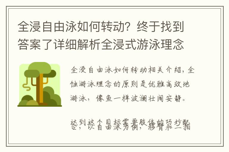 全浸自由泳如何转动?终于找到答案了详细解析全浸式游泳理念,真正掌握全浸式游泳的动作心法