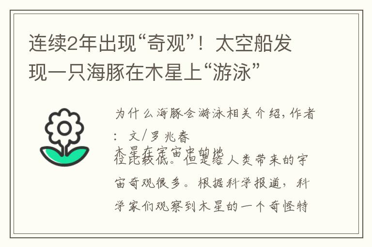 连续2年出现“奇观”！太空船发现一只海豚在木星上“游泳”