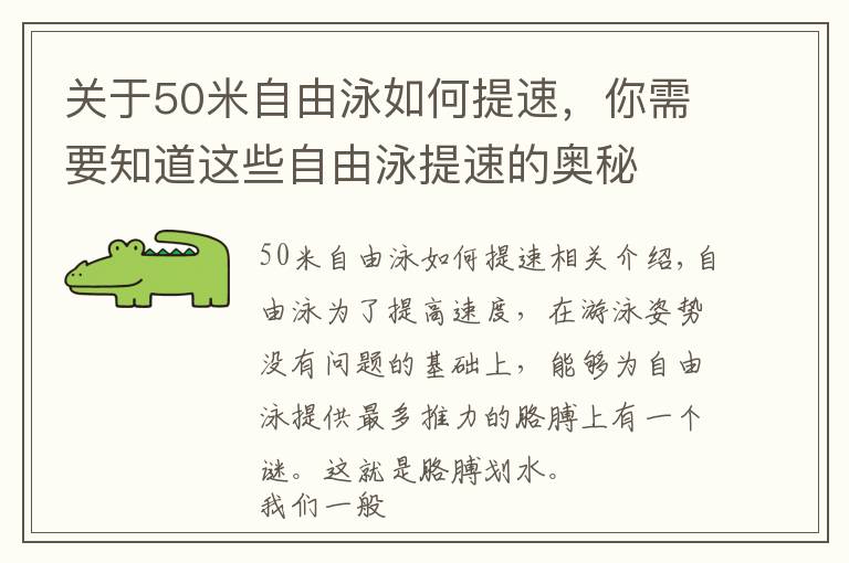 关于50米自由泳如何提速,你需要知道这些自由泳提速的奥秘