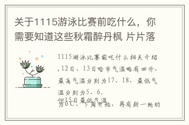 关于1115游泳比赛前吃什么,你需要知道这些秋霜醉丹枫 片片落叶秋意重 绝美留影地点推介(一)——每日联线