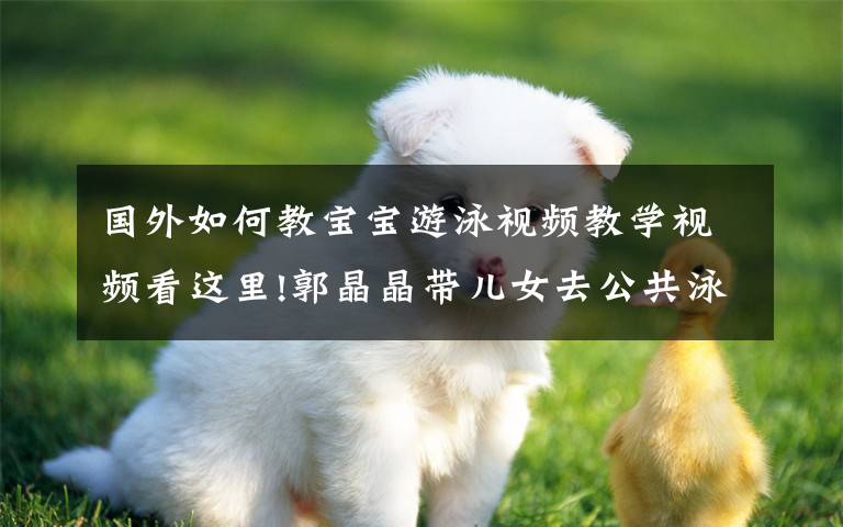 国外如何教宝宝游泳视频教学视频看这里!郭晶晶带儿女去公共泳池,亲自教孩子游泳跳水,泳帽上有亮点