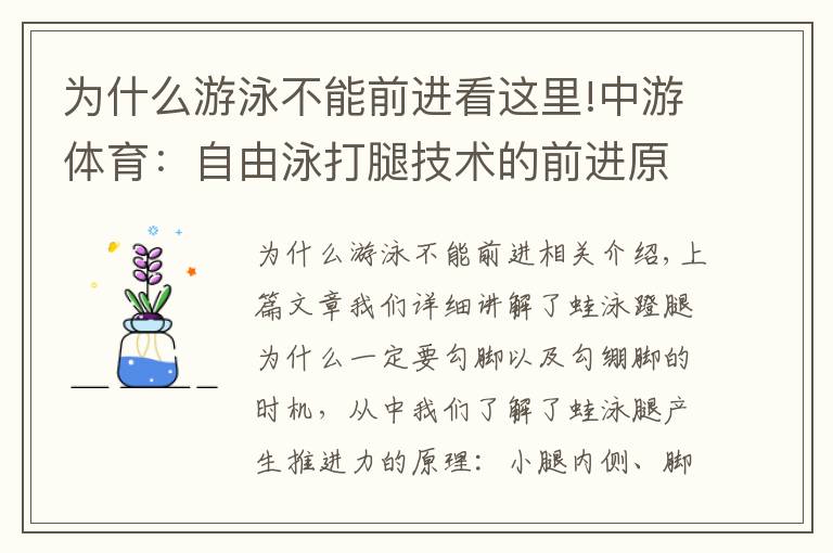 为什么游泳不能前进看这里!中游体育:自由泳打腿技术的前进原理以及注意事项