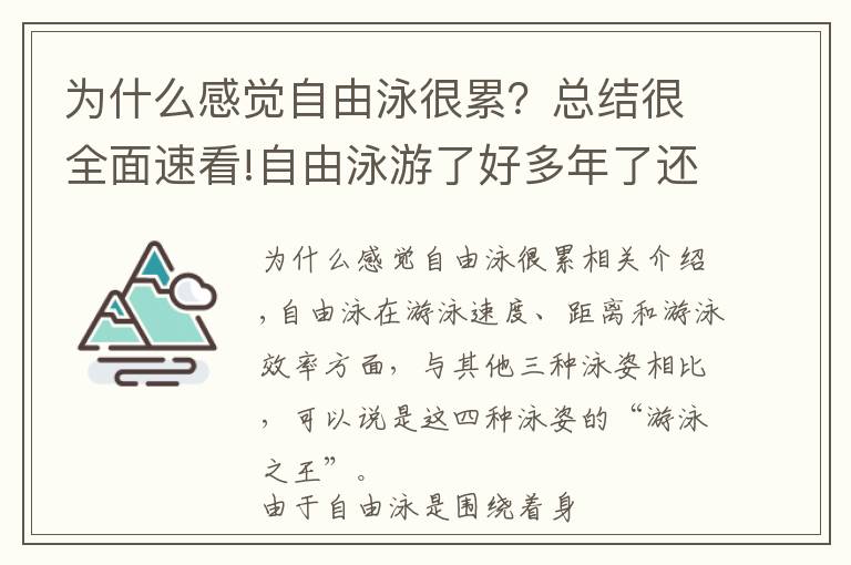 为什么感觉自由泳很累?总结很全面速看!自由泳游了好多年了还是游不过50米?那是因为你没有做好这些事情