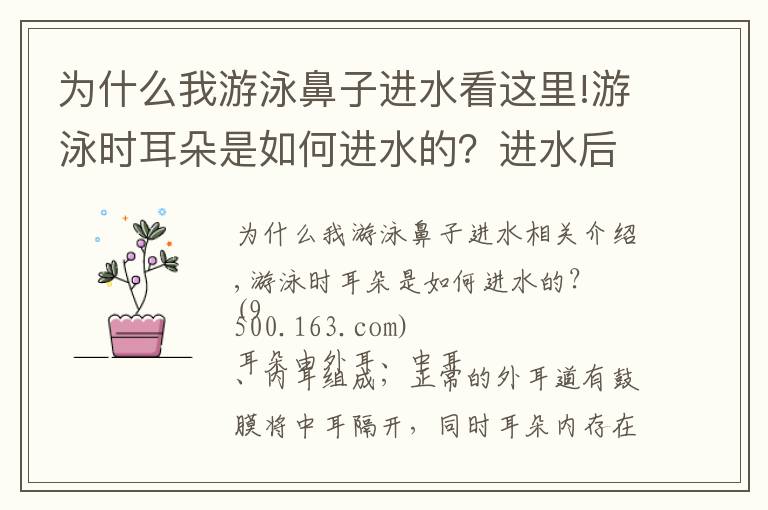 为什么我游泳鼻子进水看这里!游泳时耳朵是如何进水的?进水后该怎么控出来?