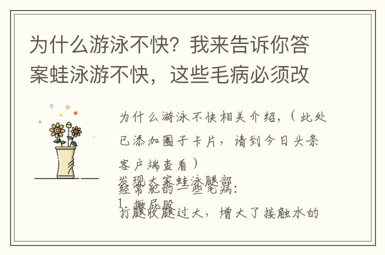 为什么游泳不快?我来告诉你答案蛙泳游不快,这些毛病必须改