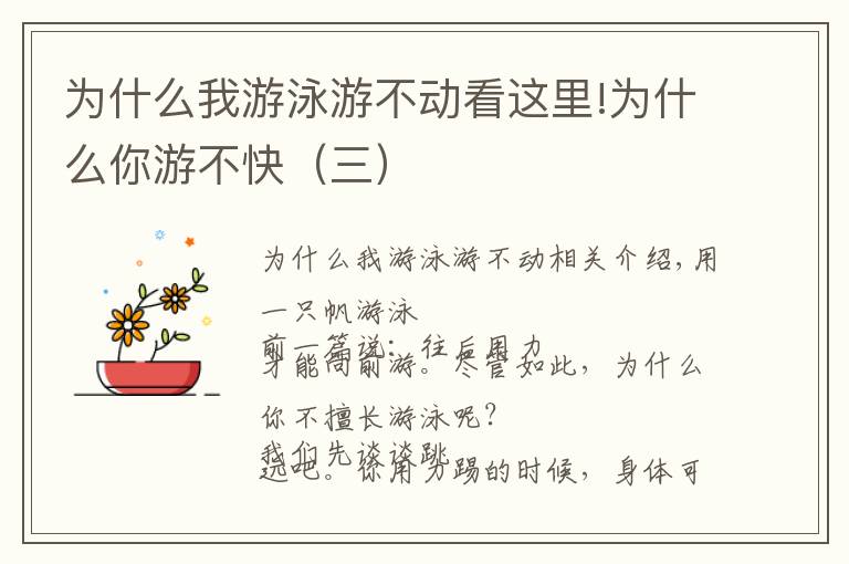 为什么我游泳游不动看这里!为什么你游不快(三)