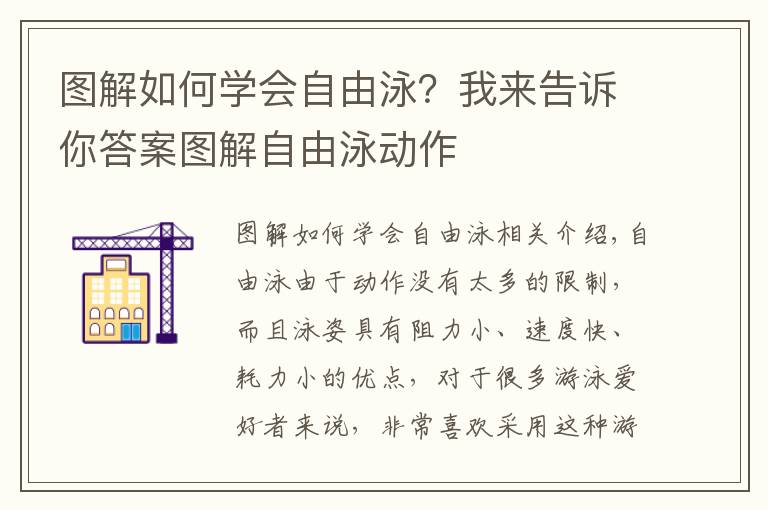 图解如何学会自由泳?我来告诉你答案图解自由泳动作