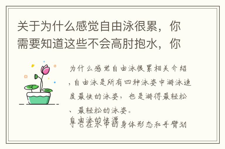 关于为什么感觉自由泳很累,你需要知道这些不会高肘抱水,你的自由泳游起来会很累