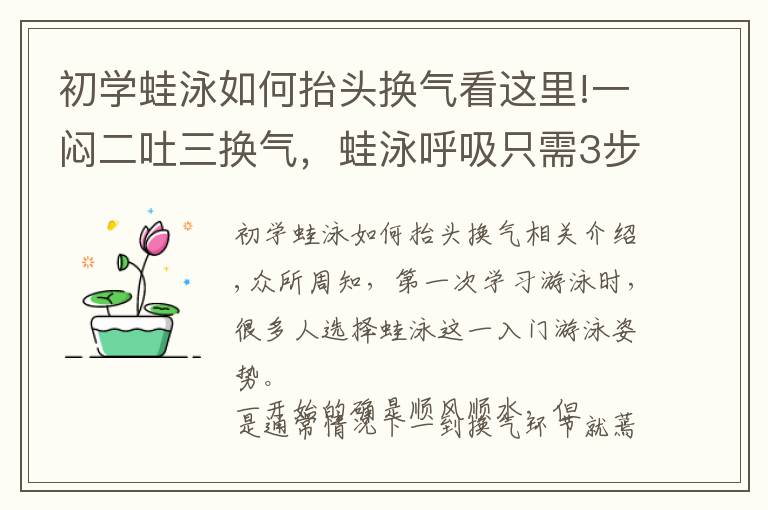 初学蛙泳如何抬头换气看这里!一闷二吐三换气,蛙泳呼吸只需3步轻松搞定!