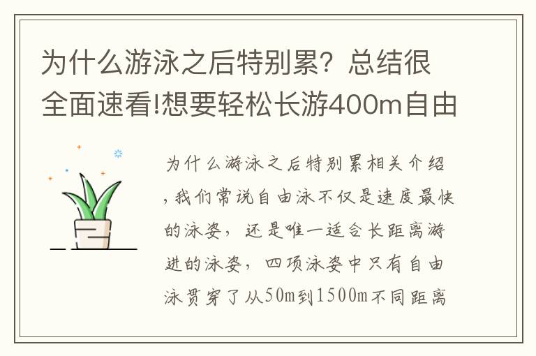 为什么游泳之后特别累?总结很全面速看!想要轻松长游400m自由泳?这些导致你「容易疲劳」的动作需要改善