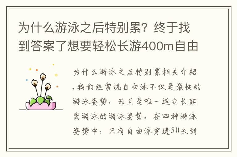 为什么游泳之后特别累?终于找到答案了想要轻松长游400m自由泳?这些导致你「容易疲劳」的动作需要改善