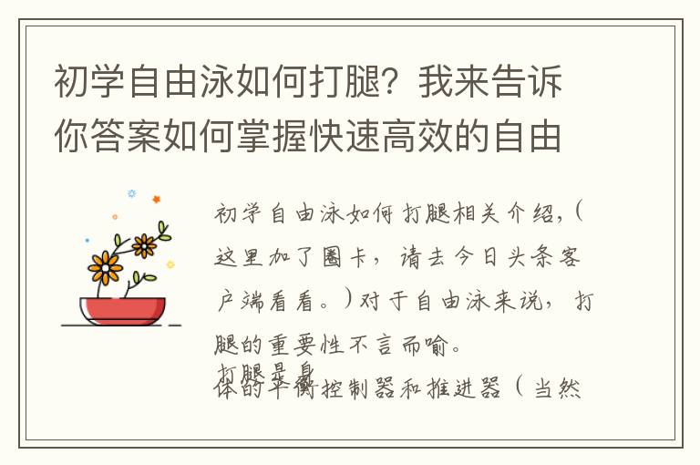 初学自由泳如何打腿?我来告诉你答案如何掌握快速高效的自由泳打腿?