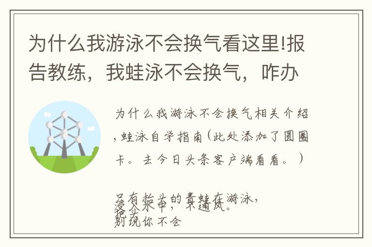 为什么我游泳不会换气看这里!报告教练,我蛙泳不会换气,咋办?