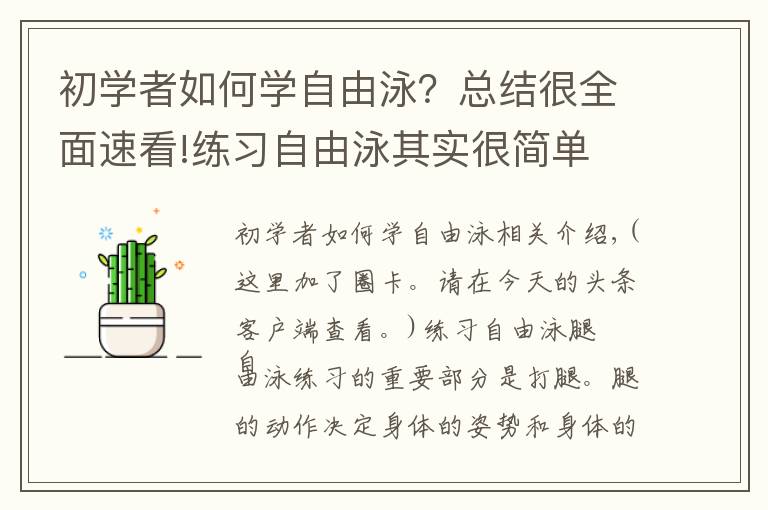 初学者如何学自由泳?总结很全面速看!练习自由泳其实很简单