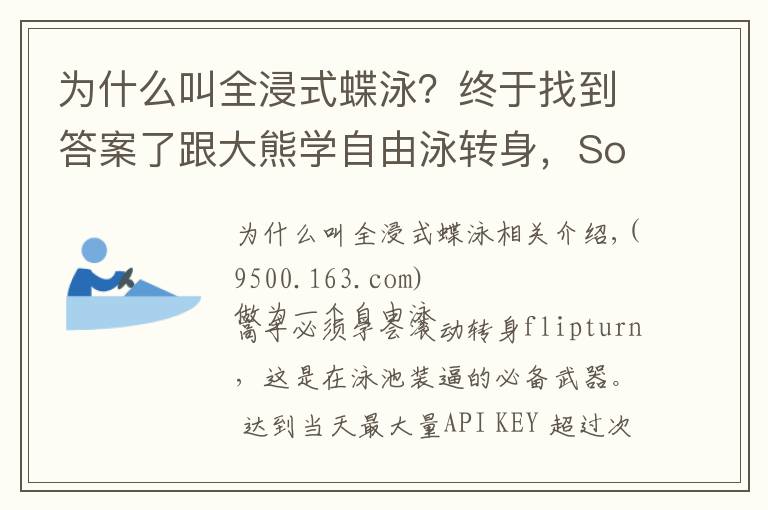 为什么叫全浸式蝶泳?终于找到答案了跟大熊学自由泳转身,So easy!