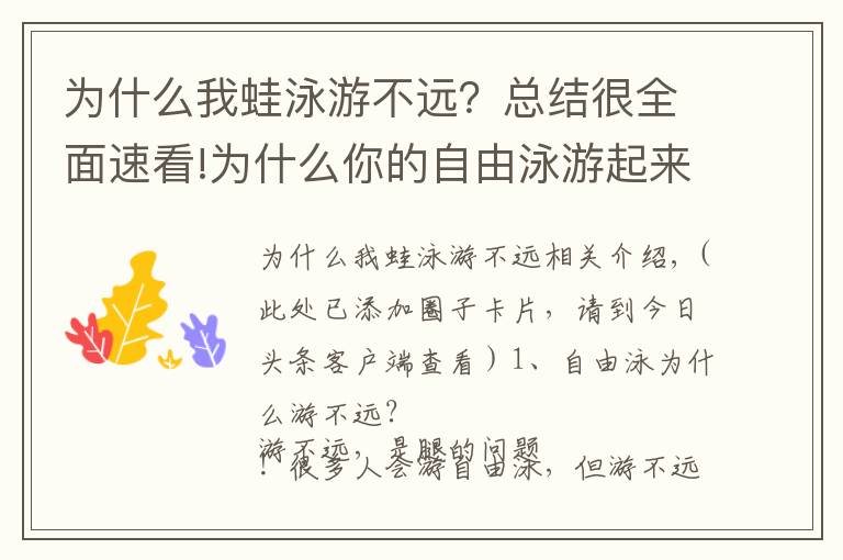为什么我蛙泳游不远？总结很全面速看!为什么你的自由泳游起来特累还游不远？