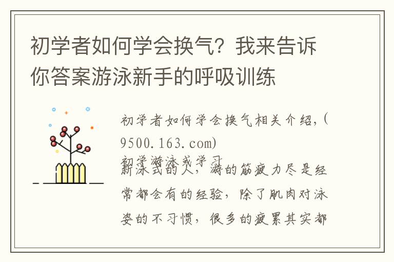 初学者如何学会换气?我来告诉你答案游泳新手的呼吸训练