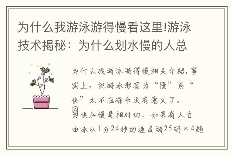 为什么我游泳游得慢看这里!游泳技术揭秘:为什么划水慢的人总是游的更快?