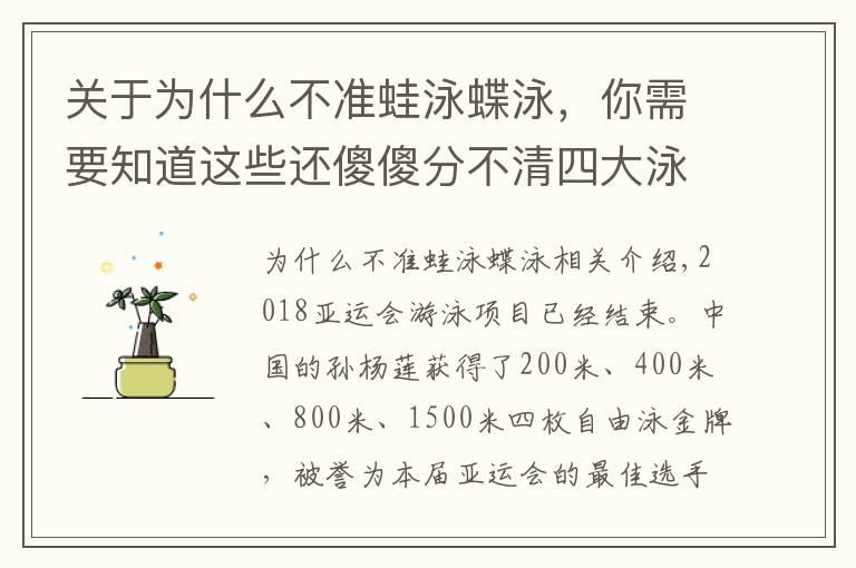 关于为什么不准蛙泳蝶泳，你需要知道这些还傻傻分不清四大泳姿的区别吗？看完这四张图你就会认识它