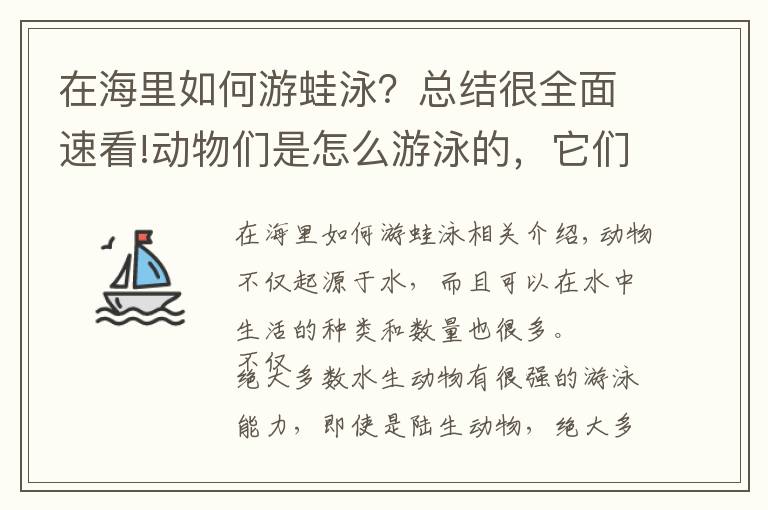在海里如何游蛙泳?总结很全面速看!动物们是怎么游泳的,它们游泳都会使用什么“特殊”技巧?