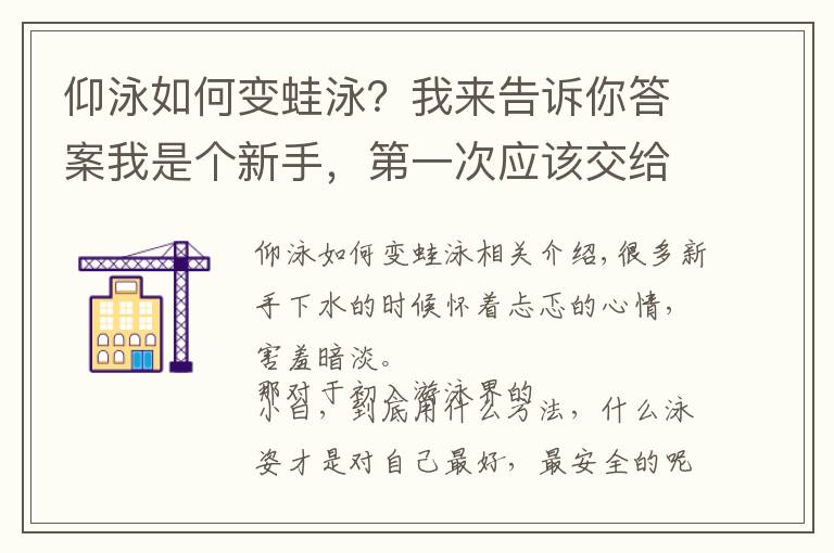 仰泳如何变蛙泳?我来告诉你答案我是个新手,第一次应该交给哪个泳姿呢?!