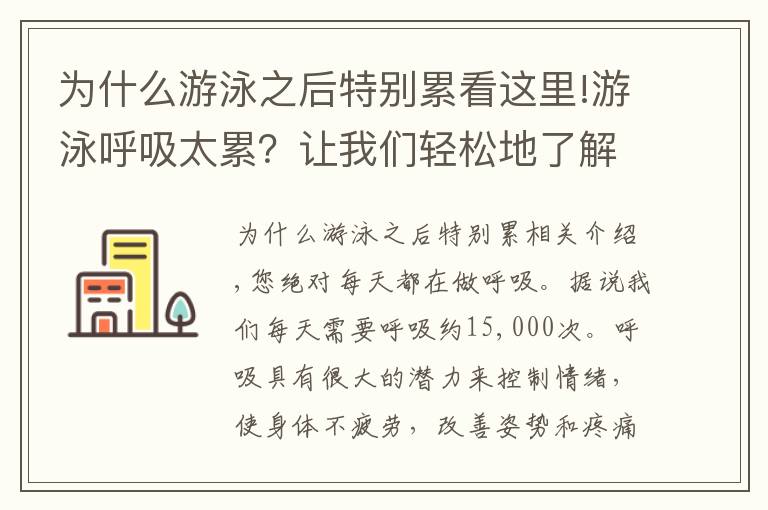 为什么游泳之后特别累看这里!游泳呼吸太累?让我们轻松地了解呼吸的物理操作