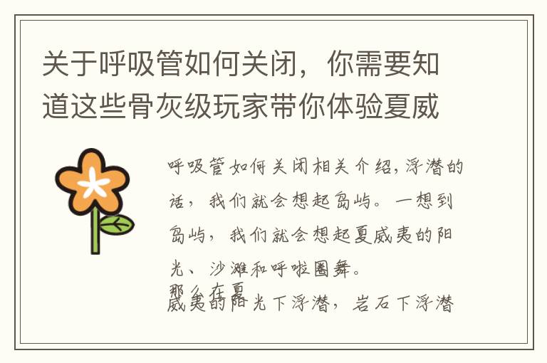 关于呼吸管如何关闭,你需要知道这些骨灰级玩家带你体验夏威夷神秘浮潜地点