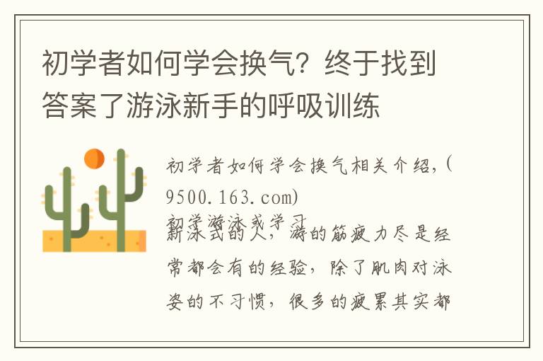 初学者如何学会换气?终于找到答案了游泳新手的呼吸训练