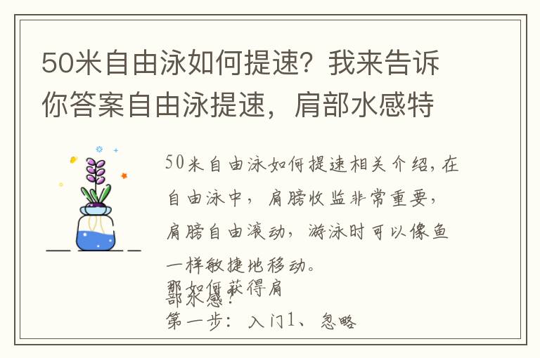 50米自由泳如何提速?我来告诉你答案自由泳提速,肩部水感特别重要