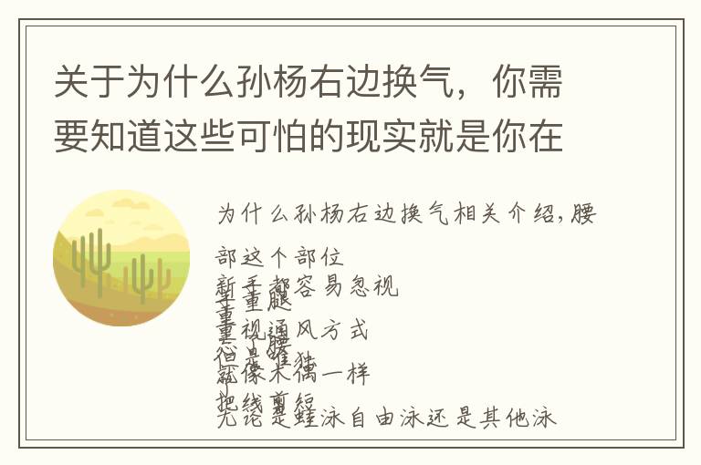 关于为什么孙杨右边换气,你需要知道这些可怕的现实就是你在游泳中塌腰!急需这3种方法帮你纠正