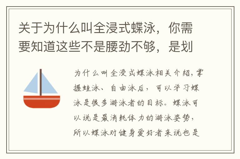 关于为什么叫全浸式蝶泳,你需要知道这些不是腰劲不够,是划水动作不对,蝶泳先游进来再说