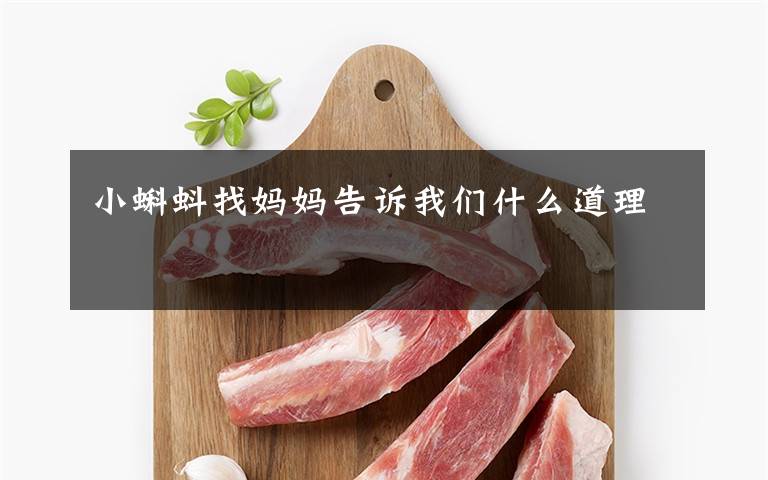 小蝌蚪找妈妈告诉我们什么道理