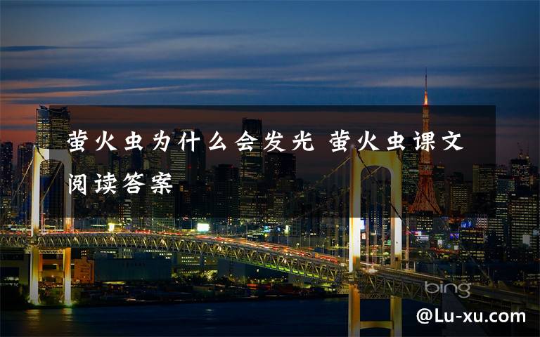 萤火虫为什么会发光 萤火虫课文阅读答案