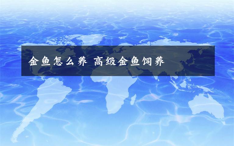 金鱼怎么养 高级金鱼饲养