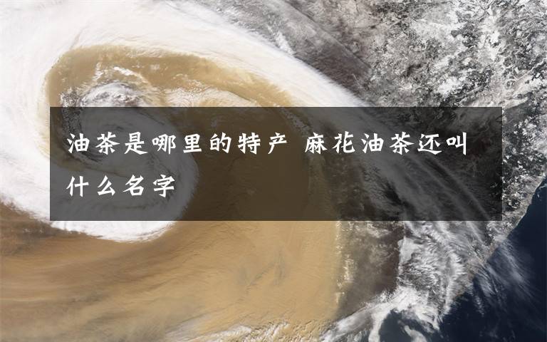 油茶是哪里的特产 麻花油茶还叫什么名字