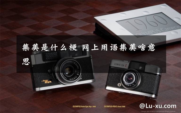 集美是什么梗 网上用语集美啥意思
