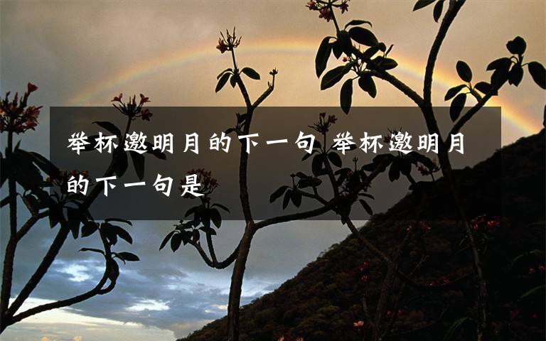 举杯邀明月的下一句 举杯邀明月的下一句是