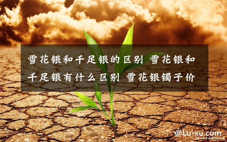 雪花银和千足银的区别 雪花银和千足银有什么区别 雪花银镯子价格