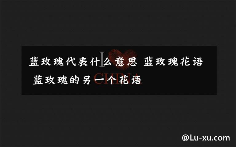 蓝玫瑰代表什么意思 蓝玫瑰花语 蓝玫瑰的另一个花语