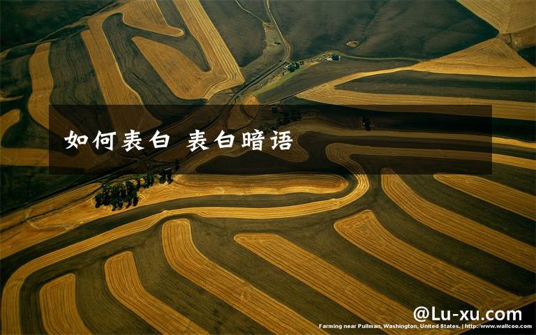 如何表白 表白暗语