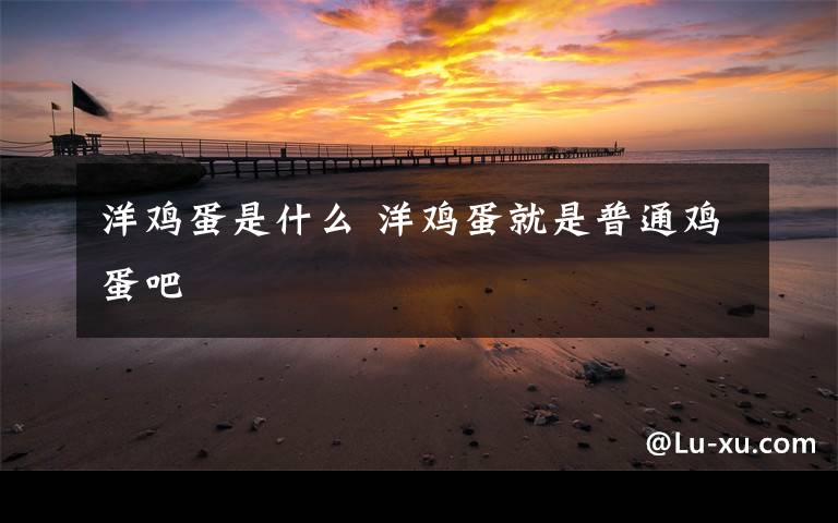 洋鸡蛋是什么 洋鸡蛋就是普通鸡蛋吧