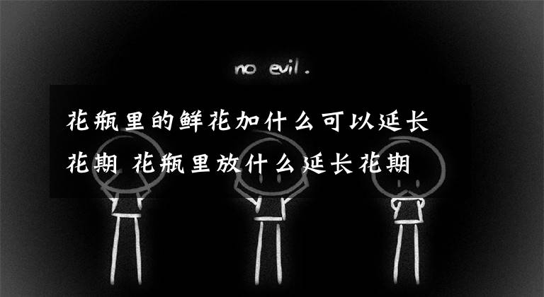 花瓶里的鲜花加什么可以延长花期 花瓶里放什么延长花期