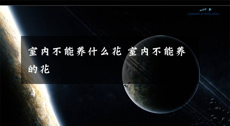 室内不能养什么花 室内不能养的花