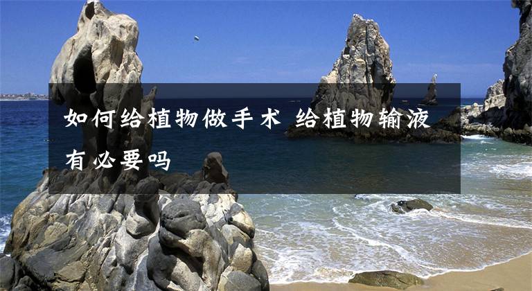 如何给植物做手术 给植物输液有必要吗