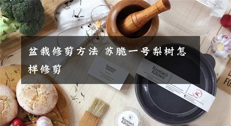 盆栽修剪方法 苏脆一号梨树怎样修剪