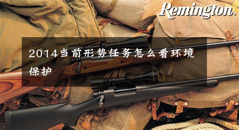 2014当前形势任务怎么看环境保护