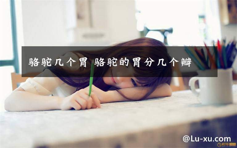 骆驼几个胃 骆驼的胃分几个瓣