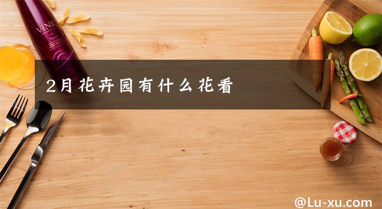 2月花卉园有什么花看